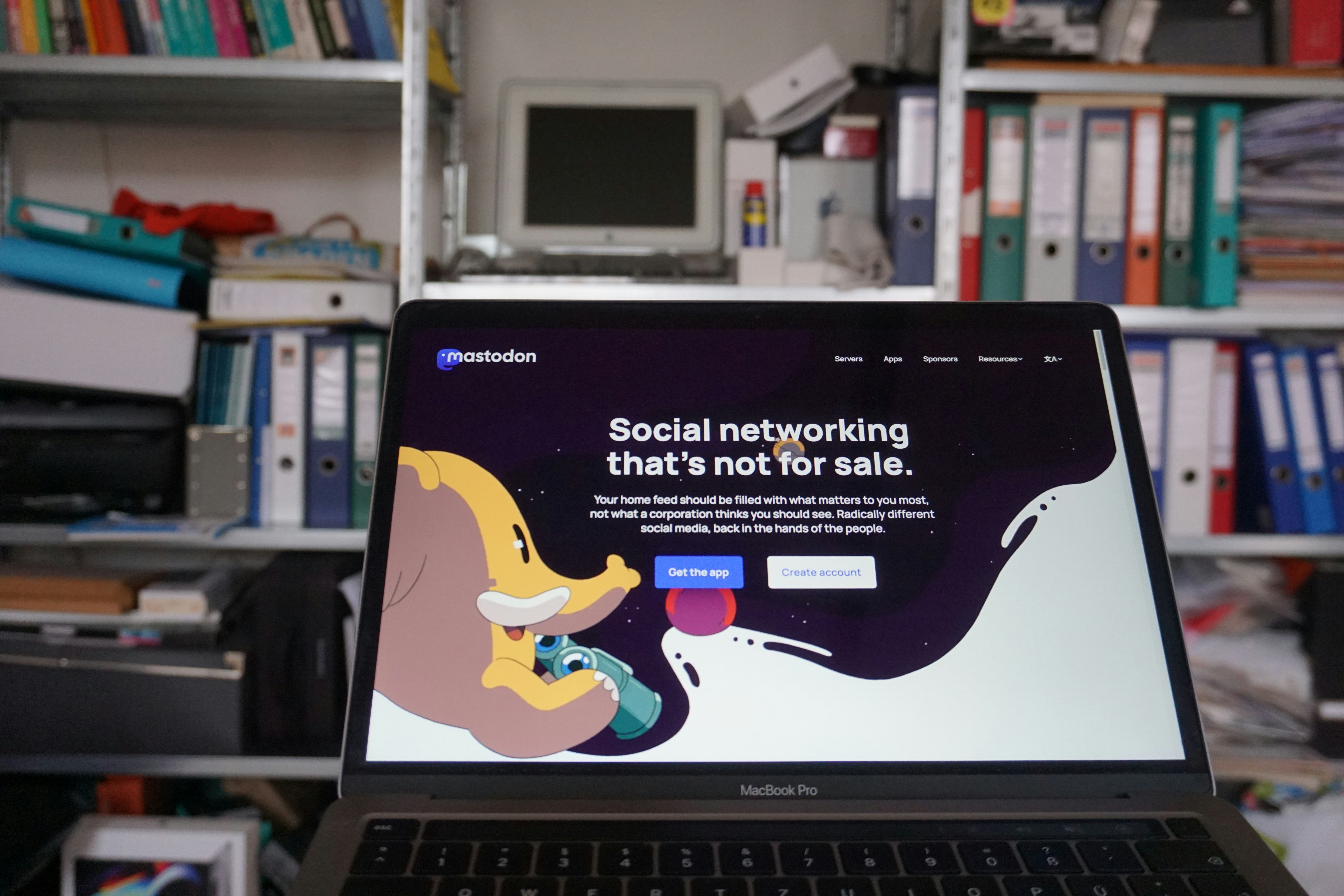 Campanha Social Orgânica